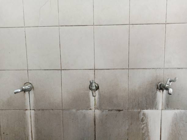 Best 24-hour water damage restoration  in High Bridge, NJ