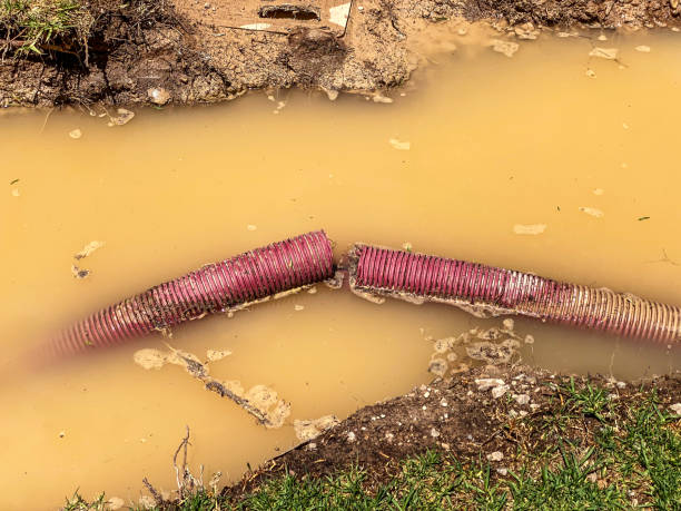 Best Sewage cleanup and water damage restoration  in High Bridge, NJ